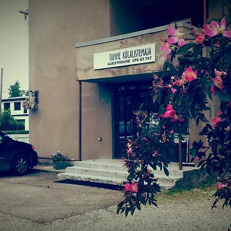 Tamme Hostel